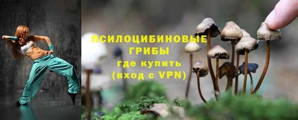гидра Кукмор