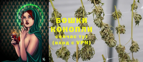 гидра Кукмор
