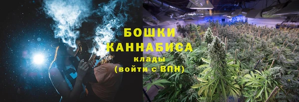 гидра Кукмор